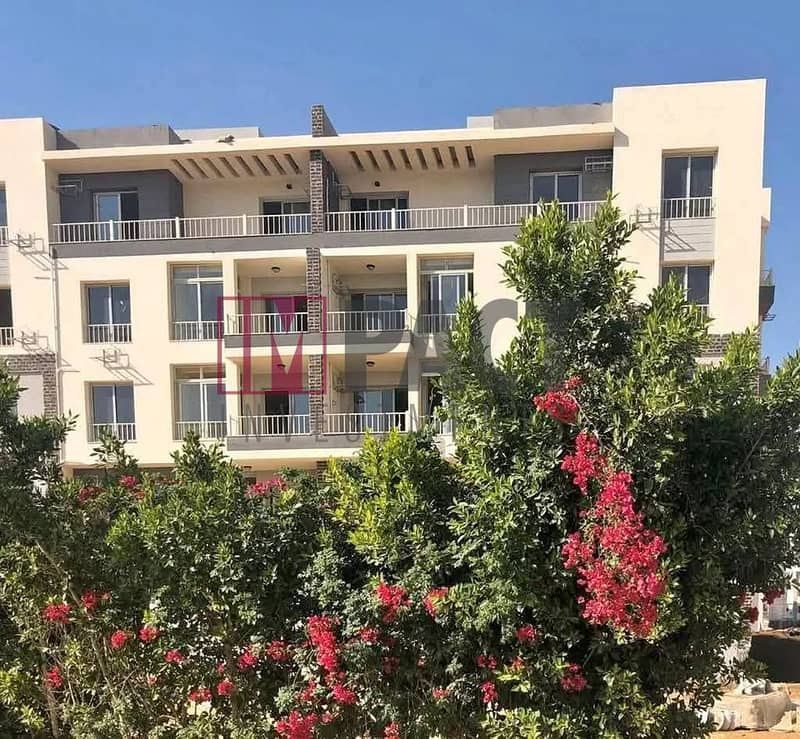 3 WhatsApp Image 2025-10-28 at 12.02. 28 PM (1). jpeg