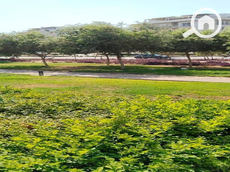 6 WhatsApp Image 2025-10-27 at 5.54. 26 AM. jpg