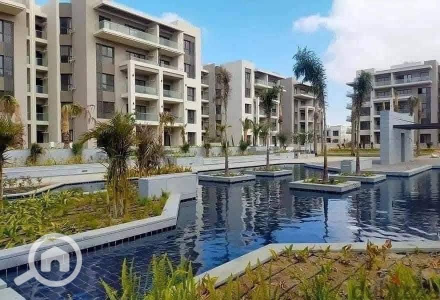 11 558310677_4031126093817655_7206636935951760184_n. jpg