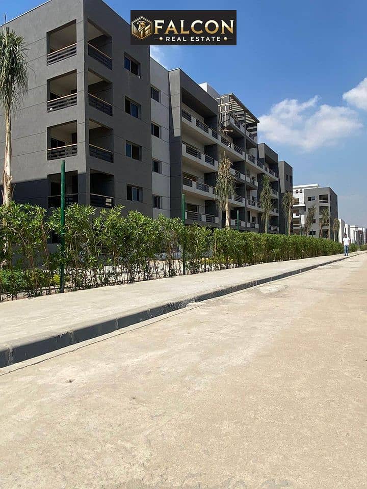 398076050_122111588678086806_5619876634097528270_n. jpg