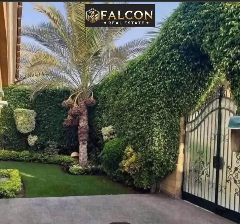 3 82f1e5b7-5fcb-4455-94c9-8fe6d3f111ad. jpg