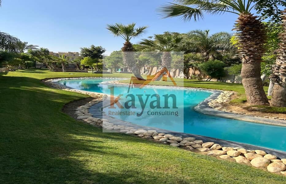 3 732ffc27-e34e-40f7-b542-5d6035daaf98. jpg