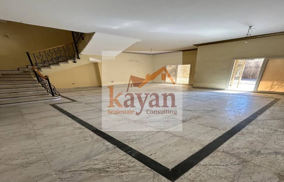 5 2e4aa321-1f77-40cb-b157-3d54890daafe. jpg