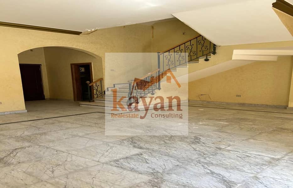 12 5199ec75-03ba-4a95-951c-10944e054128. jpg