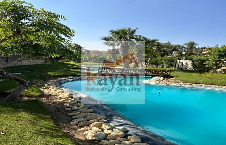 19 e7f53f21-ce79-48b1-a768-3babde013c17. jpg