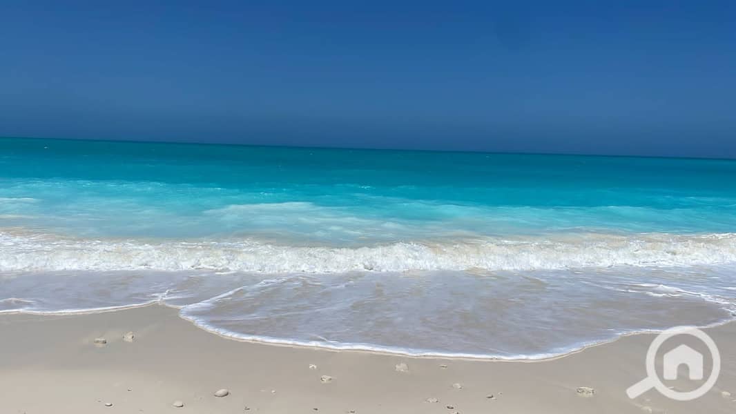 8 صورة واتساب بتاريخ 2025-09-22 في 13.41. 54_d28c9d44. jpg