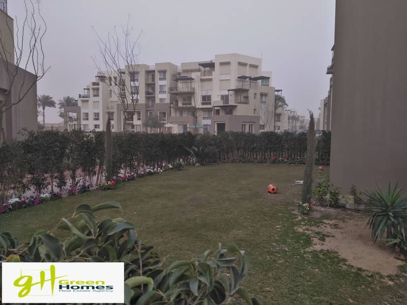 2 IMG_20200309_170303. jpg