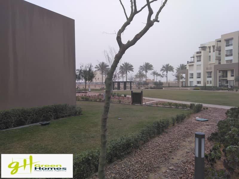 3 IMG_20200309_170322. jpg