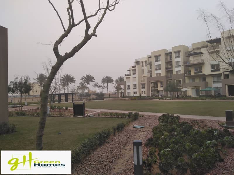 4 IMG_20200309_170327. jpg