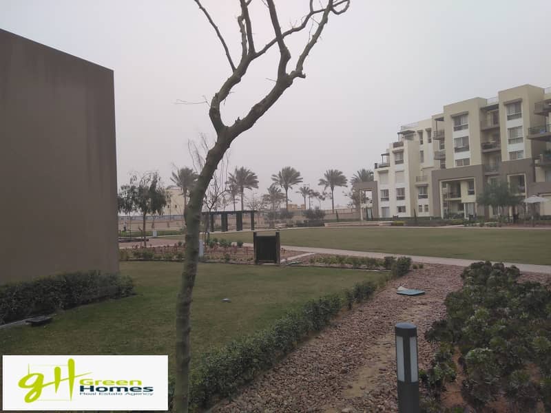 5 IMG_20200309_170333. jpg