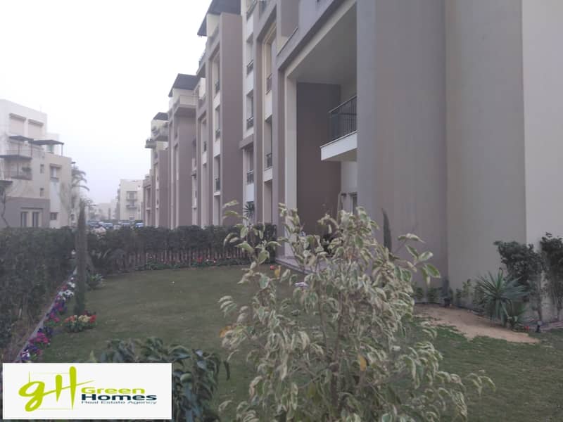 6 IMG_20200309_170511. jpg