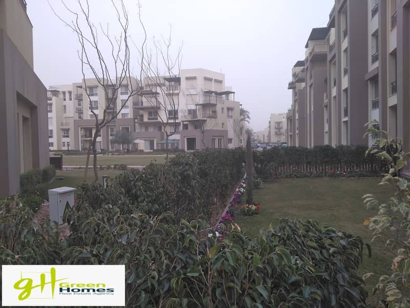 7 IMG_20200309_170514. jpg