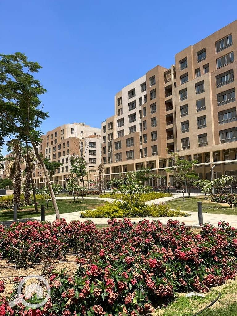 3 8a8d5fbc-328d-4497-b5e3-f88c676203cf. jpg