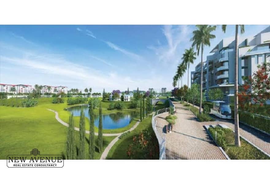 4 923c8397-d857-43fb-86de-9430aa9a93e8. jpg