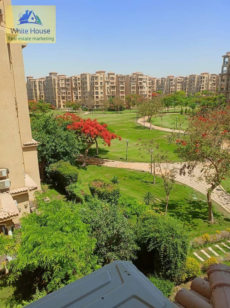 3 WhatsApp Image 2025-10-22 at 9.10. 25 AM (3). jpeg