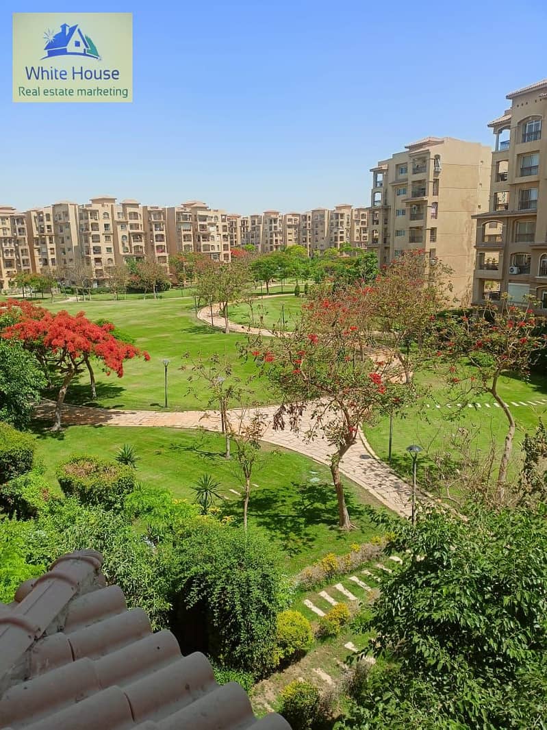 4 WhatsApp Image 2025-10-22 at 9.10. 25 AM (2). jpeg