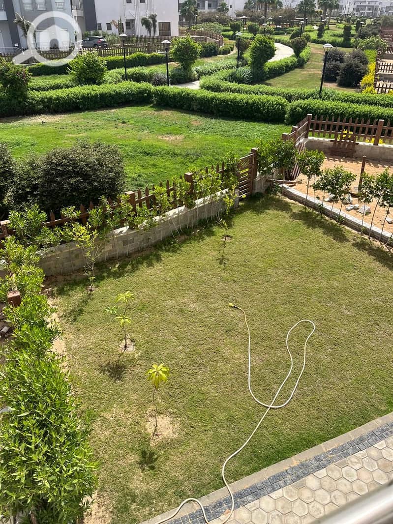 4 842e6290-f5de-497d-bb0d-89ea869d45b3. jpg