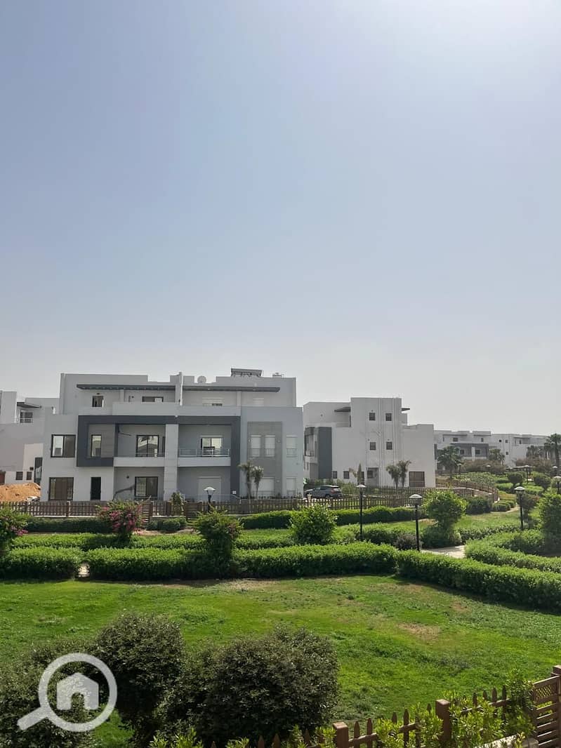 5 919caf4e-4a77-4371-b279-d6298e17873a. jpg