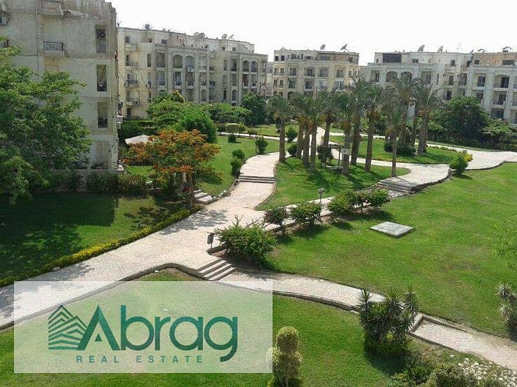 11 Sheikh-zayed-city-1. jpg