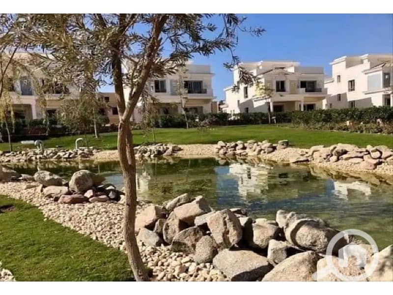 12 7592665-db6feo. jpg