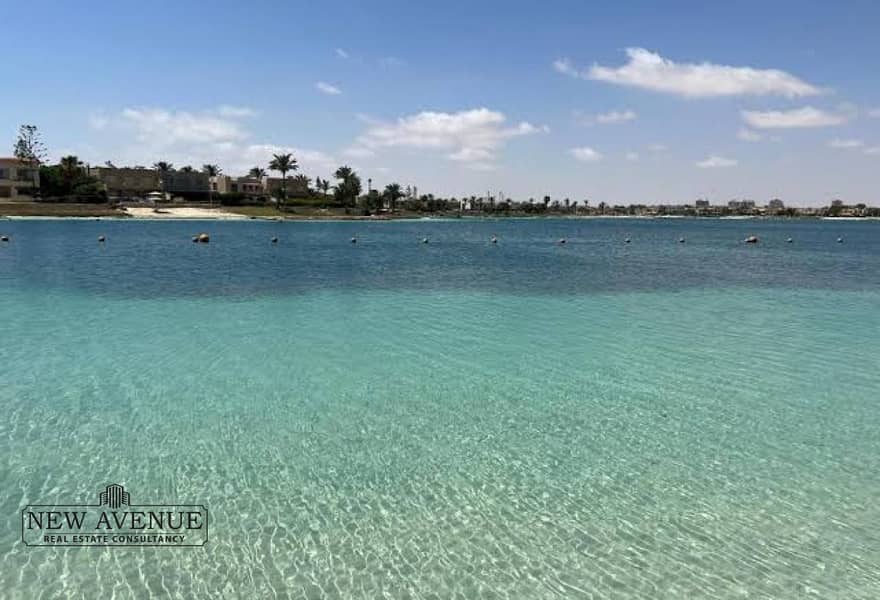 2 c0947465-5124-4567-84d9-a9dbafe7a9f1. jpg