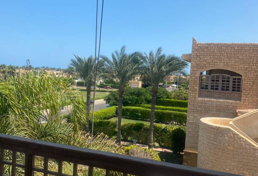 6 a8917f05-2a45-470b-846c-6116e41e691e. jpg