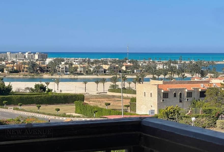 10 0a242134-76e5-4817-b8aa-6e053d1c88eb. jpg