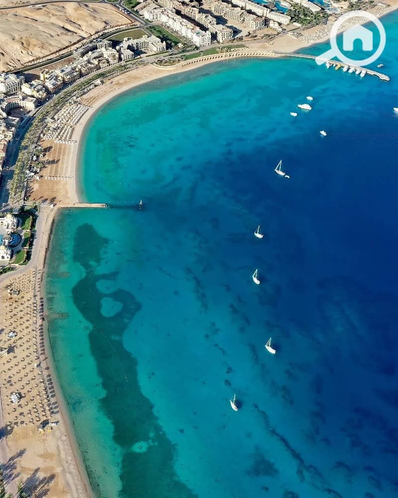 2 experience. sahlhasheesh_1724174834006. jpeg