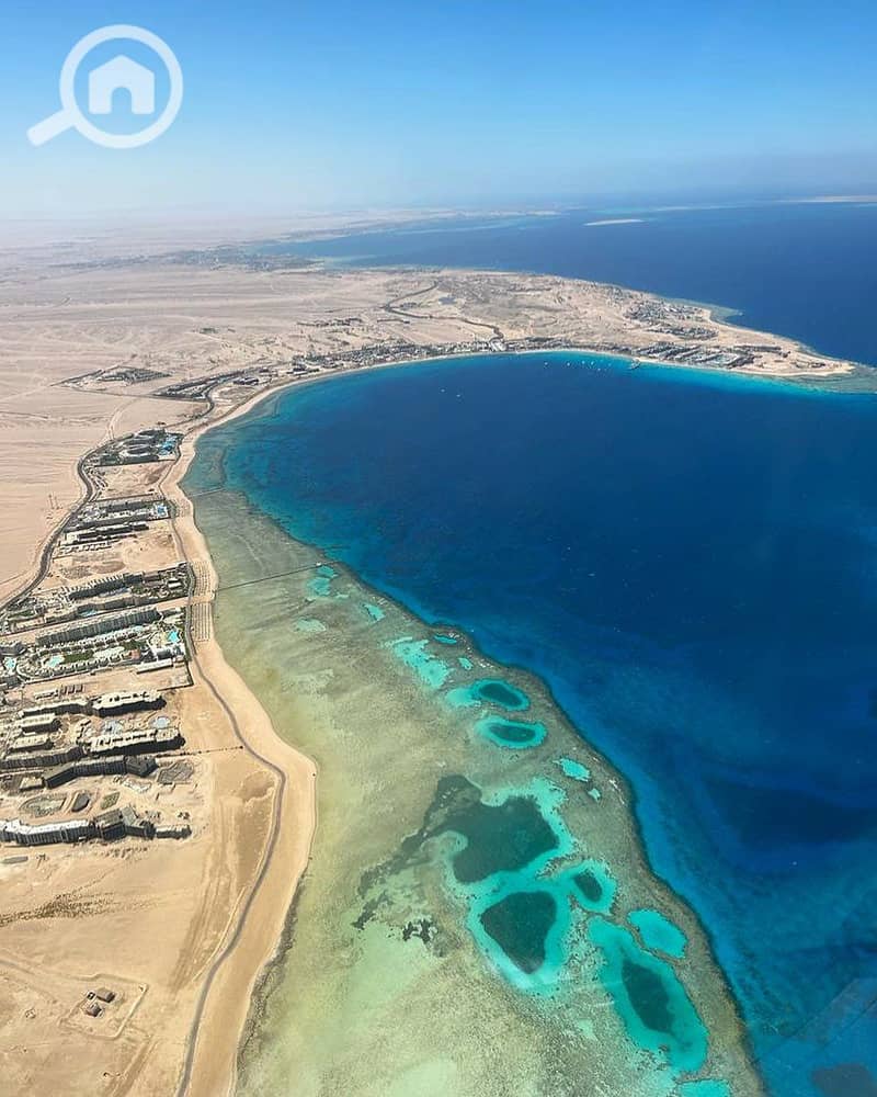 3 sahlhasheesheg_1724173174745. jpeg