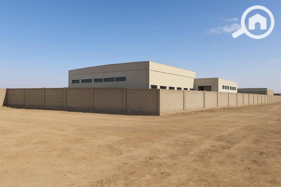 6 67639980-4ea6-4d94-aec8-1c6f5103318d (1). jpeg