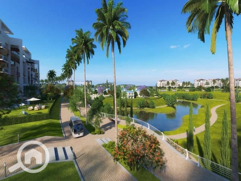 2 DjEvU7K8SbfQadOTa0Z5WOR9e3BuR1. jpg