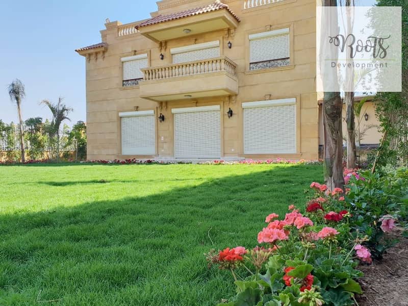 4 WhatsApp Image 2025-10-23 at 10.39. 40 AM (2). jpeg