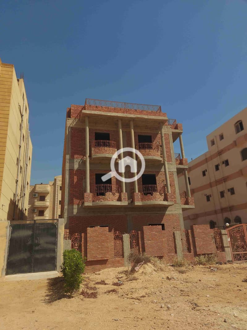 1000163713. jpg 1000163713. jpg