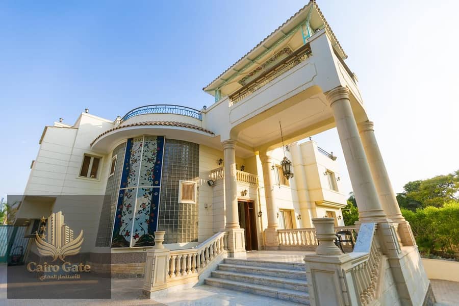 13 631a19b1-dee2-4120-88ea-ab9c7f049d3b. jpg