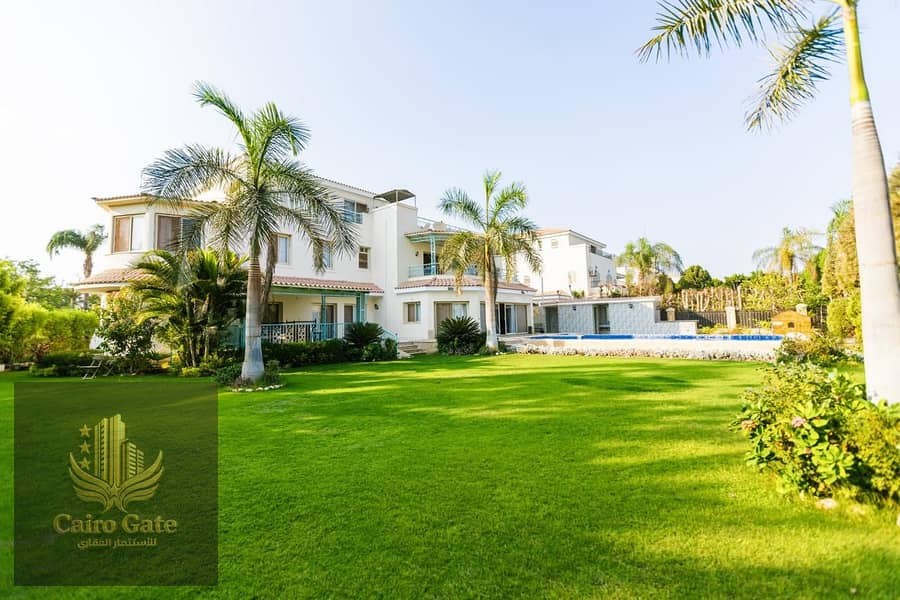 25 c1bd2433-e13a-46e5-9292-1e3860bb8606. jpg