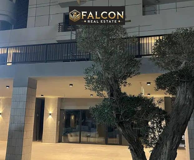 3 Screenshot 2025-10-17 174013. png