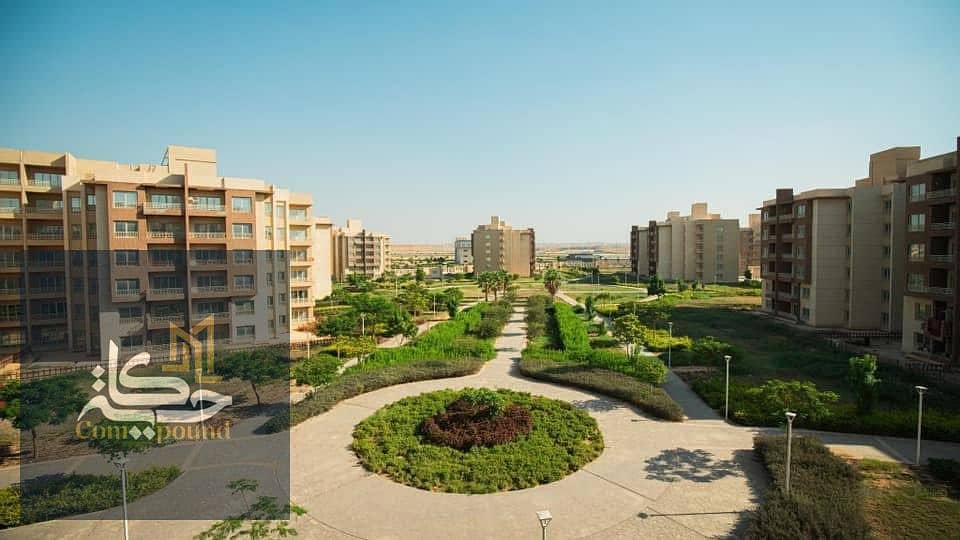 IMG-20251028-WA0033. jpg IMG-20251028-WA0033. jpg