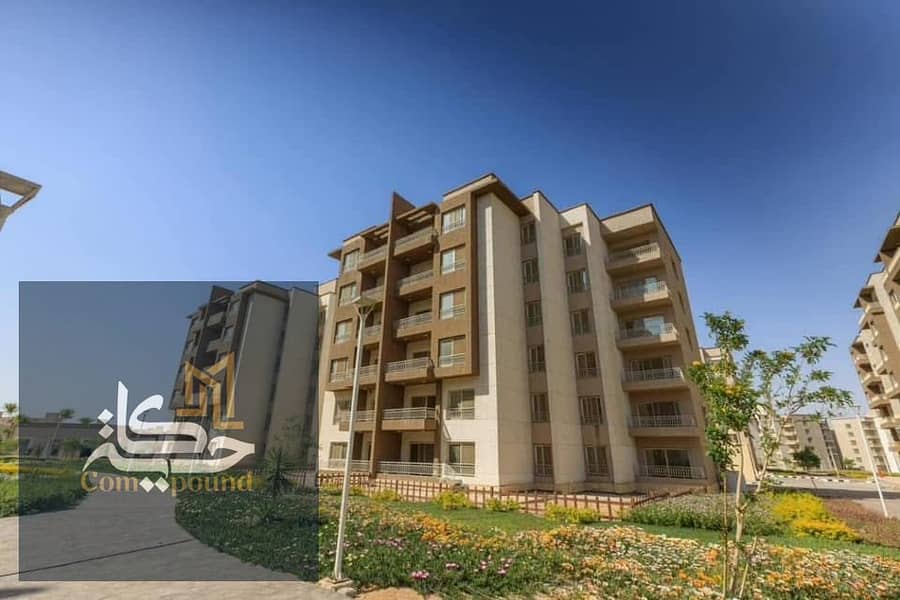 3 IMG-20251028-WA0035. jpg