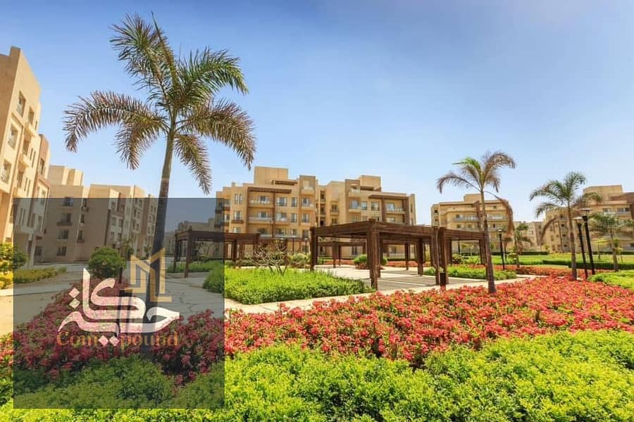 7 IMG-20251028-WA0039. jpg