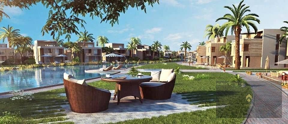 6 74883024_197608461272488_7068297382051446784_n. jpg