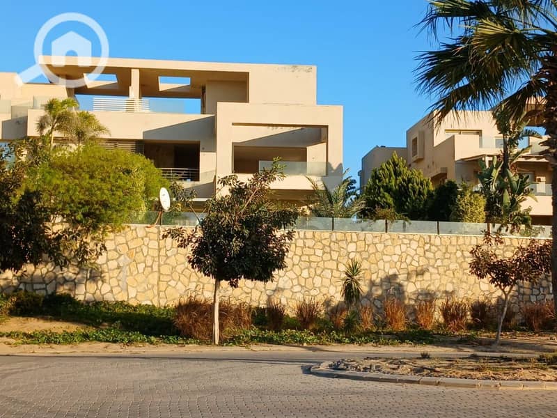 2 photo_5852867374846428340_y. jpg