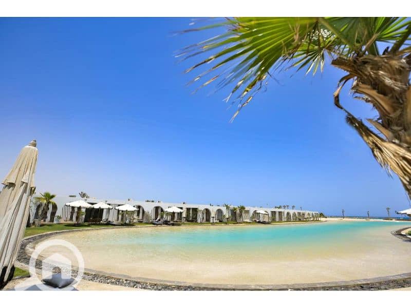 9 568234533 (1). jpg