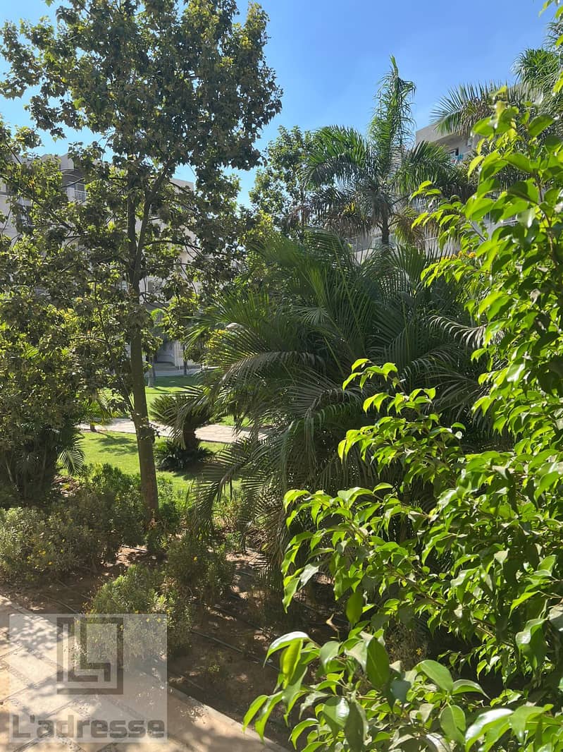 IMG-20251017-WA0045. jpg IMG-20251017-WA0045. jpg