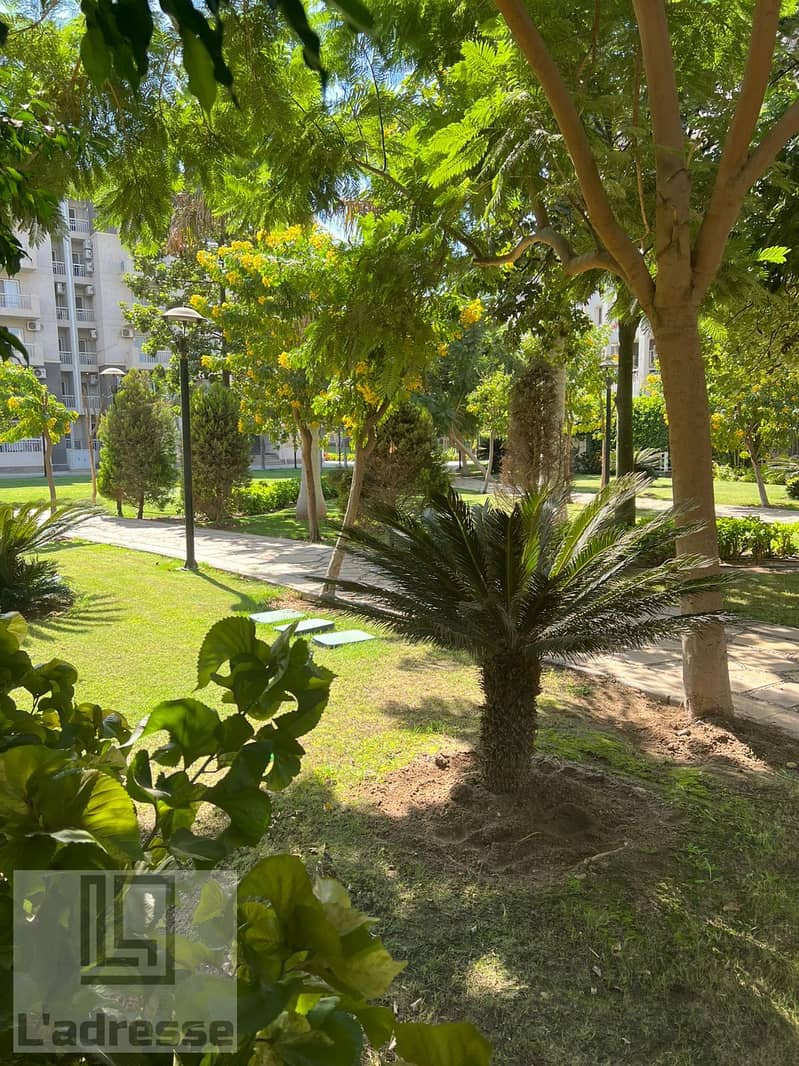 2 IMG-20251017-WA0036. jpg