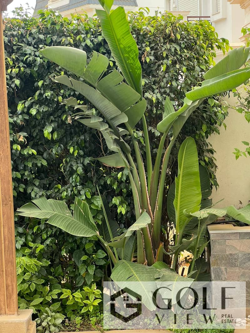 8 WhatsApp Image 2025-09-22 at 2.54. 12 PM (1). jpeg