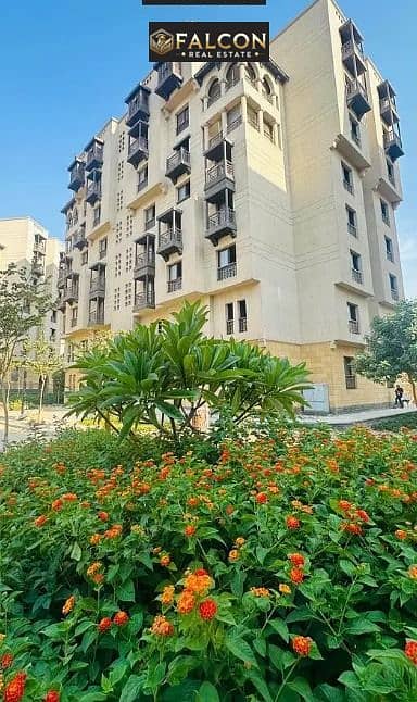 2 12b5373e-bd6f-42eb-bc0b-fa54105e94ff. jpg