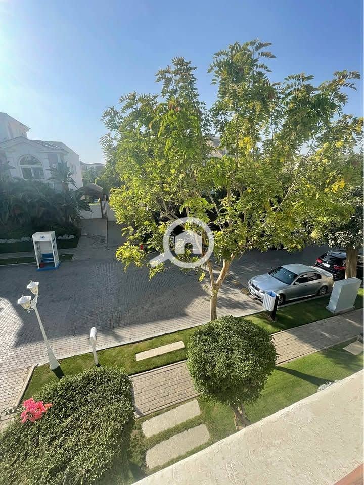 9 533065625_1694514637918727_6964607618595579717_n. jpg