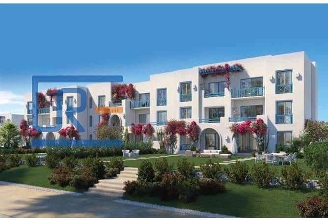 3 3389459-2934do. jpg