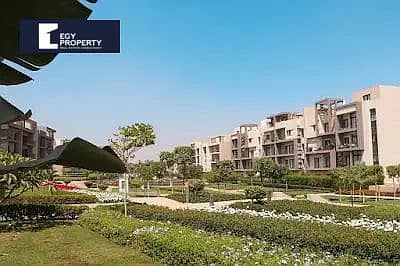 7 154340310-800x600. jpg