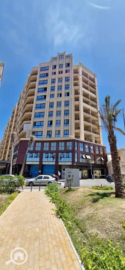2 Bedroom Apartment for Sale in Smoha, Alexandria - WhatsApp Image 2025-10-15 at 2.49. 15 PM (2). jpeg
